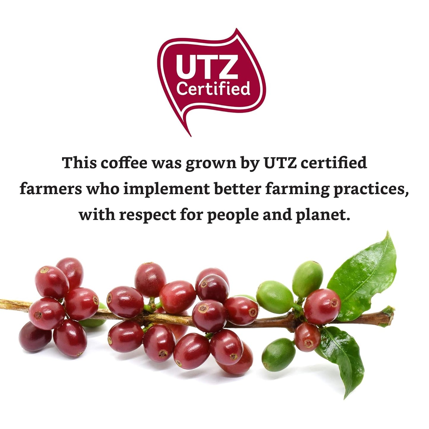 Amazon Brand - Solimo Lungo Capsules, Compatible with Nespresso Original Brewers, Medium Roast, 50 Count (Pack of 1)