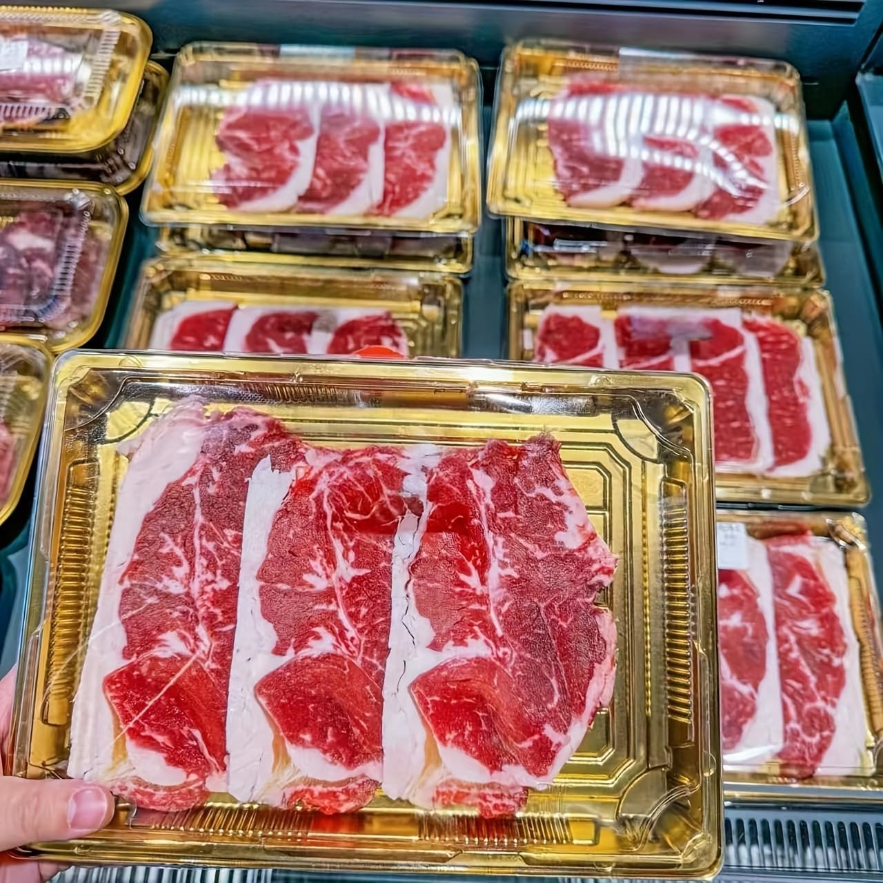 10 Pack Gold Rectangular Sushi Containers with Clear Lids – Disposable Plastic Food Boxes for Party, Takeout & Catering – Elegant, Stackable Trays for Sushi, Snacks & Desserts(Model No.1101)