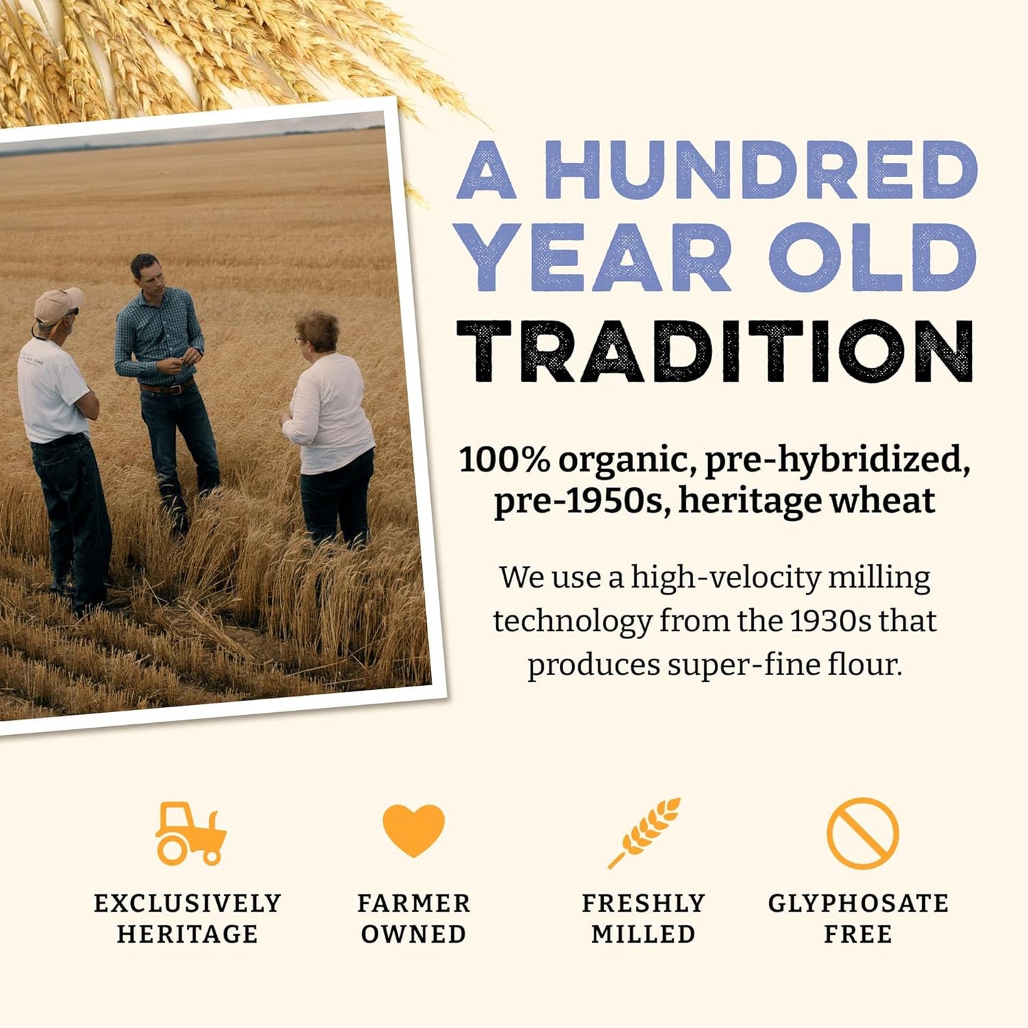 Sunrise Flour Mill USDA Organic Heritage Pasta Flour - 5 lbs | Milled from Hard Red Wheat | Easier to Digest with Less Bloating | No Bleaching or Bromating | Zero Additives