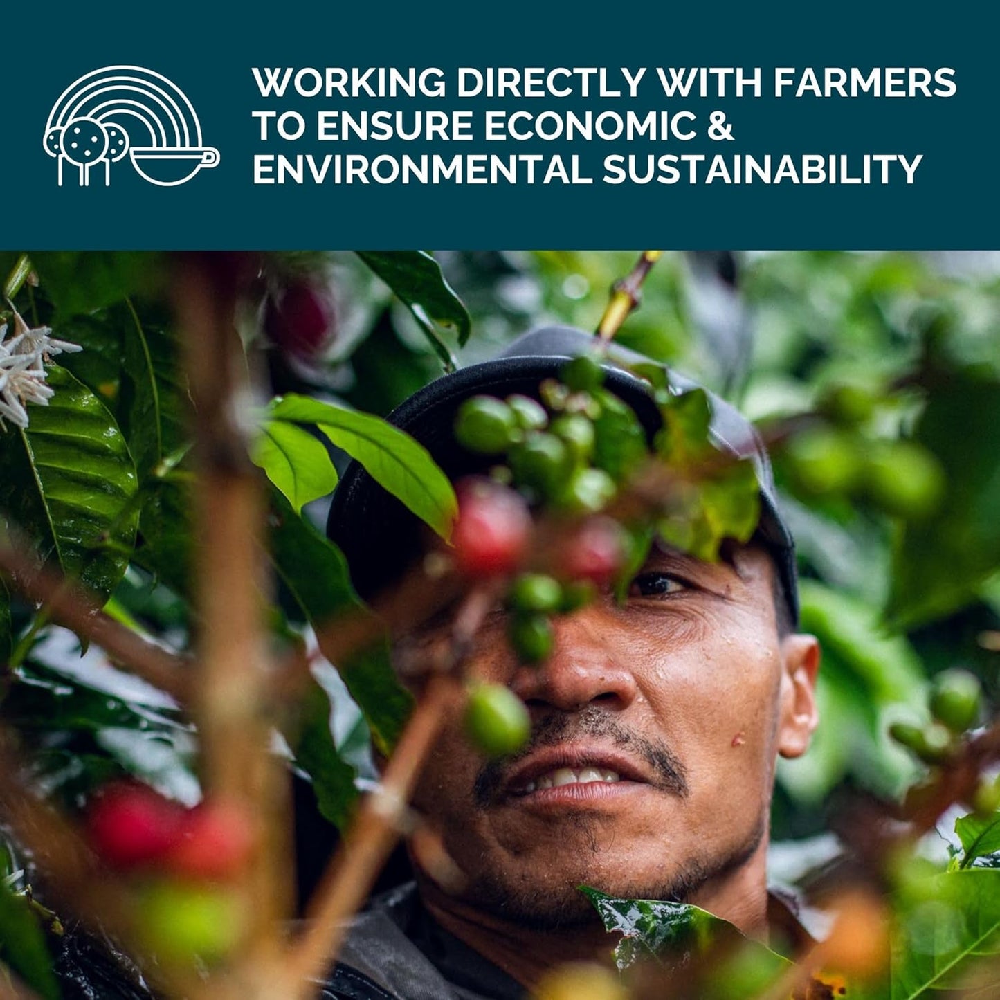 Stone Creek Coffee Medium Roast Ground Coffee – 2 LB (Pack of 1) – Specialty Smooth and Sweet Fresh Roasted Coffee Beans with Fruity/Chocolate Tasting Notes, Cream City