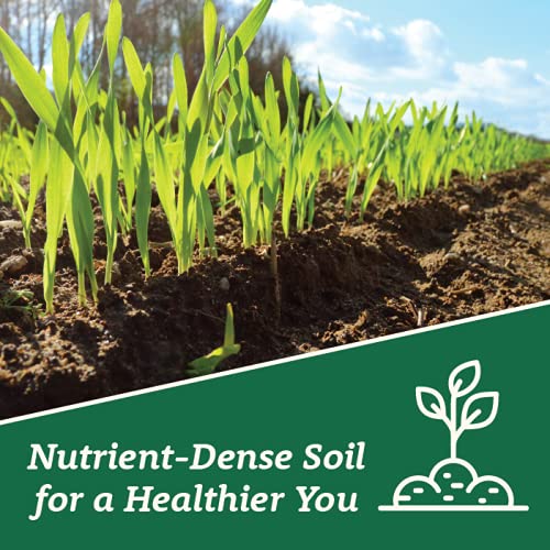 Organic Rye Flour 1.5 lb - Non-GMO, USDA Organic, Low Gluten, Vegan, For Baking, Cooking, Supports Heart Health & Digestion, USA Grown, Farmed From Regenerative Soil by Doudlah Farms