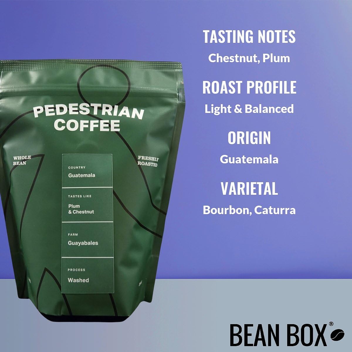 Bean Box Chicago Coffee Sampler, 2-Pack - Roasted by Pedestrian, Gourmet Arabica Coffee, Variety Pack - Freshly Ground