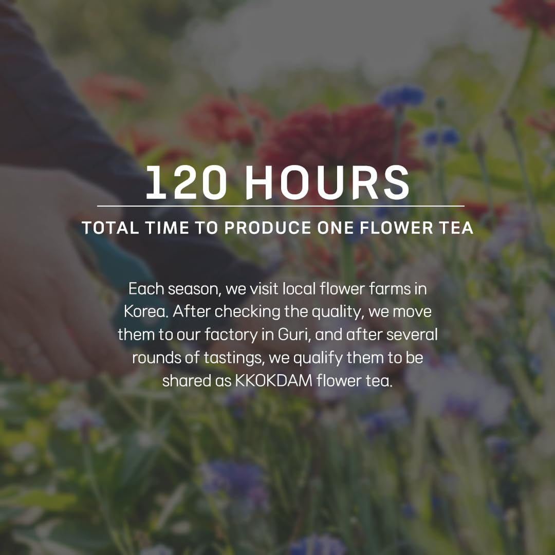 KKOKDAM Fancy Tea Gift Set – Korean Mint Blooming Flowers from South Korea - 5 Premium Flower Tea Sticks, Perfect as Unique Gifts or Gifts for Women