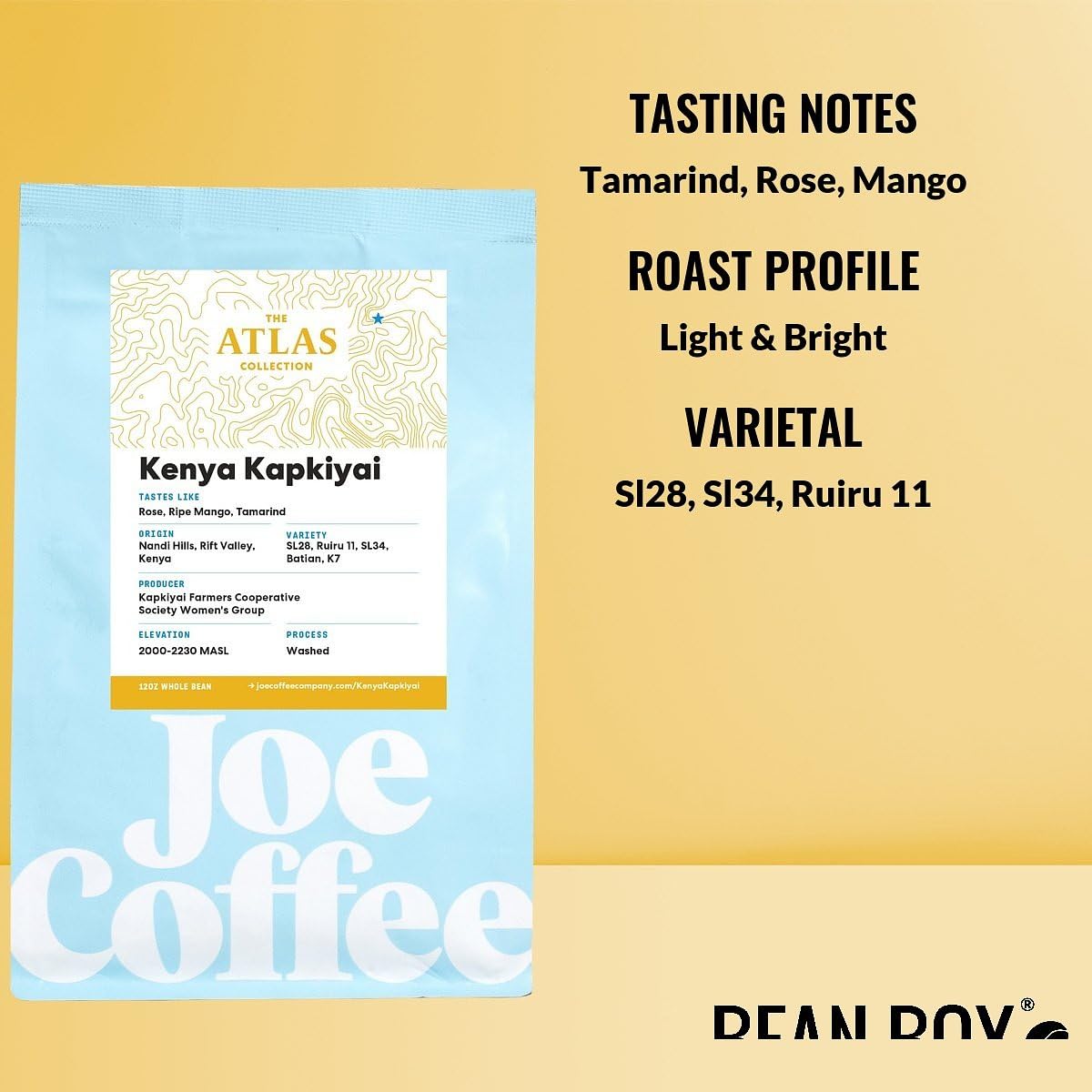 Kenya Kapkiyai - Roasted by Joe Coffee Company - Whole Bean Coffee - 2 Pound Bag