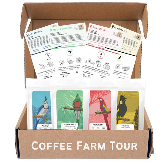 Canopy Point Coffee | Ground Coffee Sample Pack | Gourmet Coffee Sampler | Single Origin Coffee Gift Set | Sampler Gift Box Set | Coffee Gifts | Specialty Coffee Gift Basket | 4 Pack Variety Set Sampler (Ground)