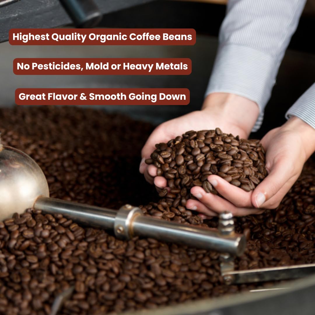 Sampler Variety Pack, Low Acid Organic Coffee Beans: Whole Bean, Mold-Free & Stomach Friendly, by Java Planet - Arabica Gourmet Coffee, 1.32 LBs of coffee packaged in six 3.2 oz bags