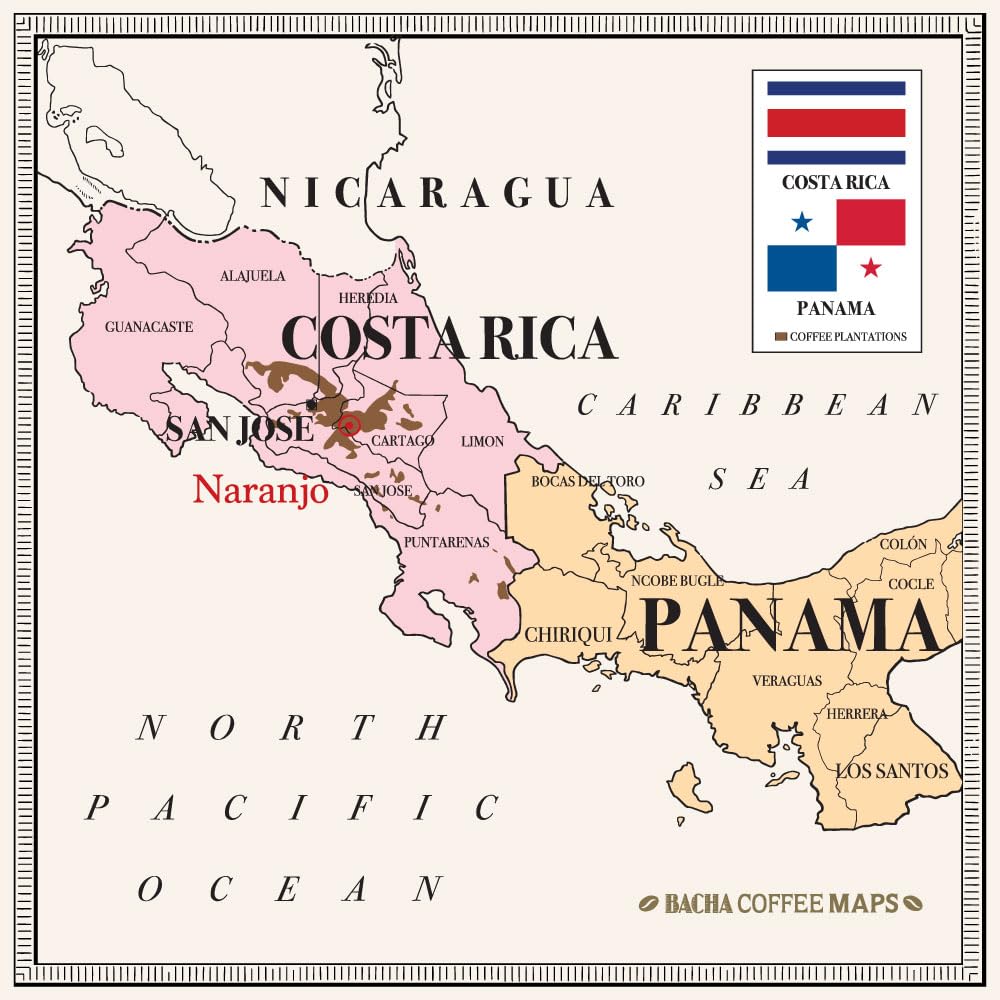 Bacha Coffee | Naranjo Mountain Costa Rica Single Origin, Medium Dark Roast, 100% Arabica Specialty Coffee, 12 Coffee Drip Bags, Gift Box