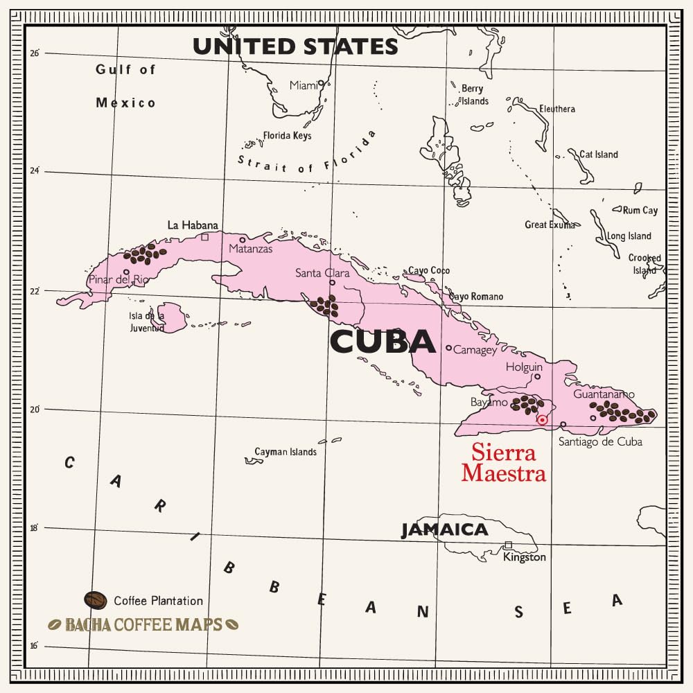 Bacha Coffee | Turquino Cuba Single Origin, Medium Dark Roast, 100% Arabica Specialty Coffee, 12 Coffee Drip Bags, Gift Box