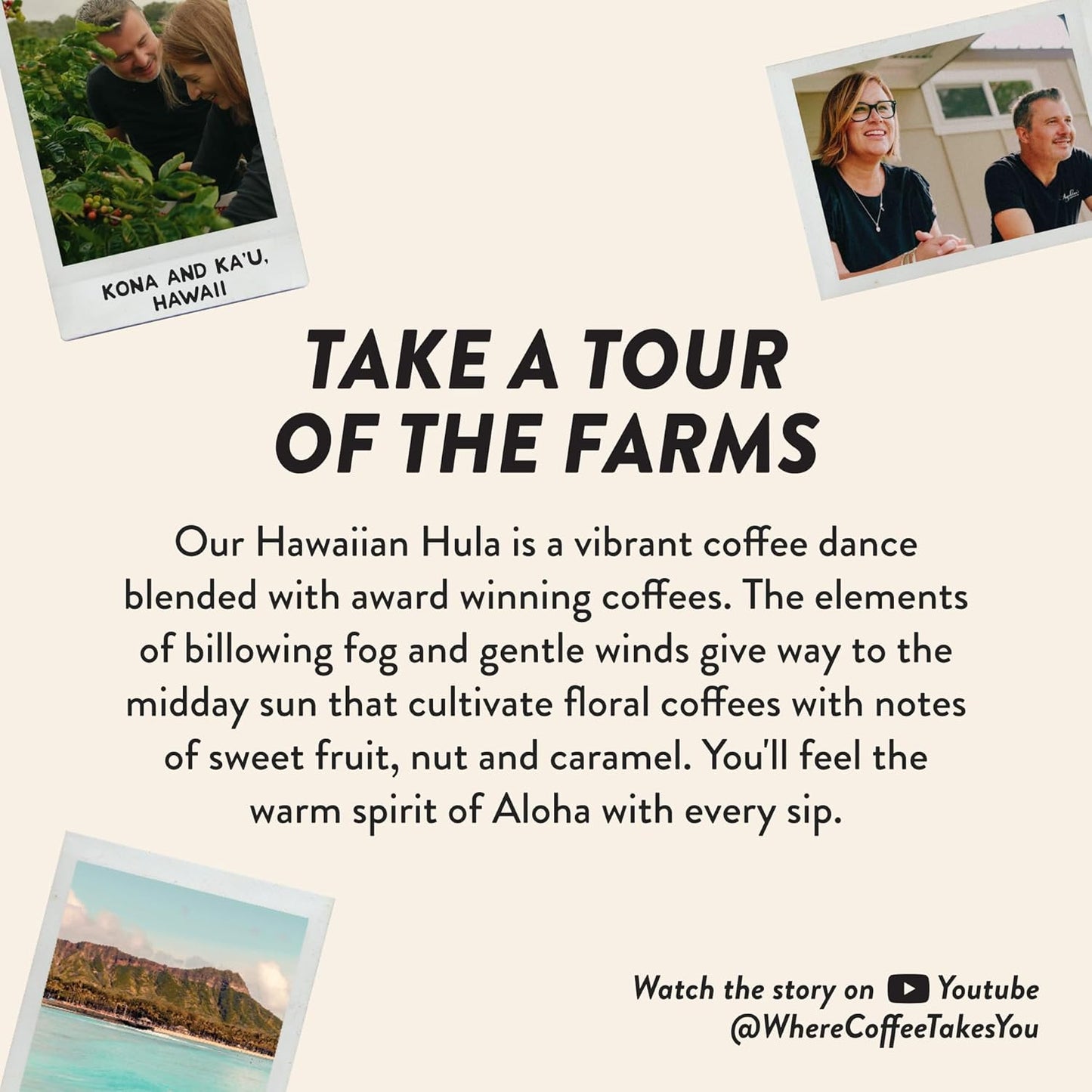 Angelino's Coffee Hawaiian Coffee Ground - Medium Roast Hawaiian Blend with Chocolaty Notes & Floral Undertones, 12oz - Premium Coffee Beans Ground for Freshness