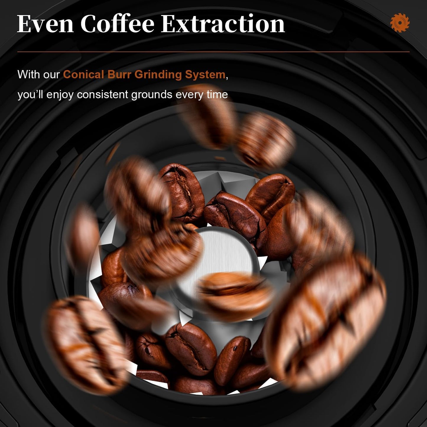 Wancle Coffee Grinder, Electric Conical Burr Coffee Bean Grinder, 25 Grind Settings-Adjustable for Espresso French Press Drip, 2-12 Cup Capacity, Low Noise, 80g Bean Capacity (Expandable to 120g)