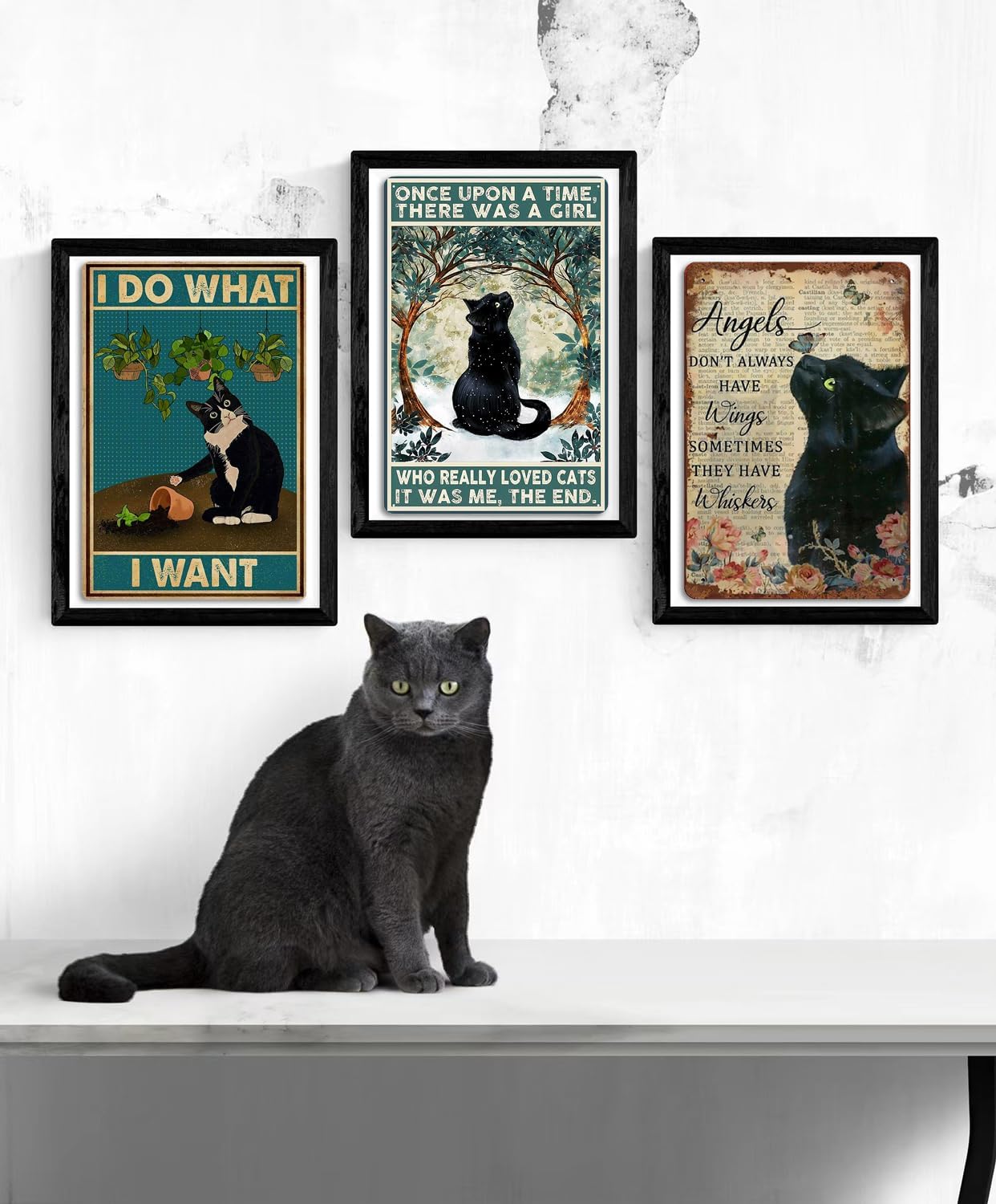 Fmcmly Black Cat Decor Tin Signs Once Upon a Time There was a Girl Who Really Loved Cats Personalized Metal Art Poster Gift For Women And Girl Home Kitchen Bedroom Garden Coffee Wall Decor 8x12 Inch