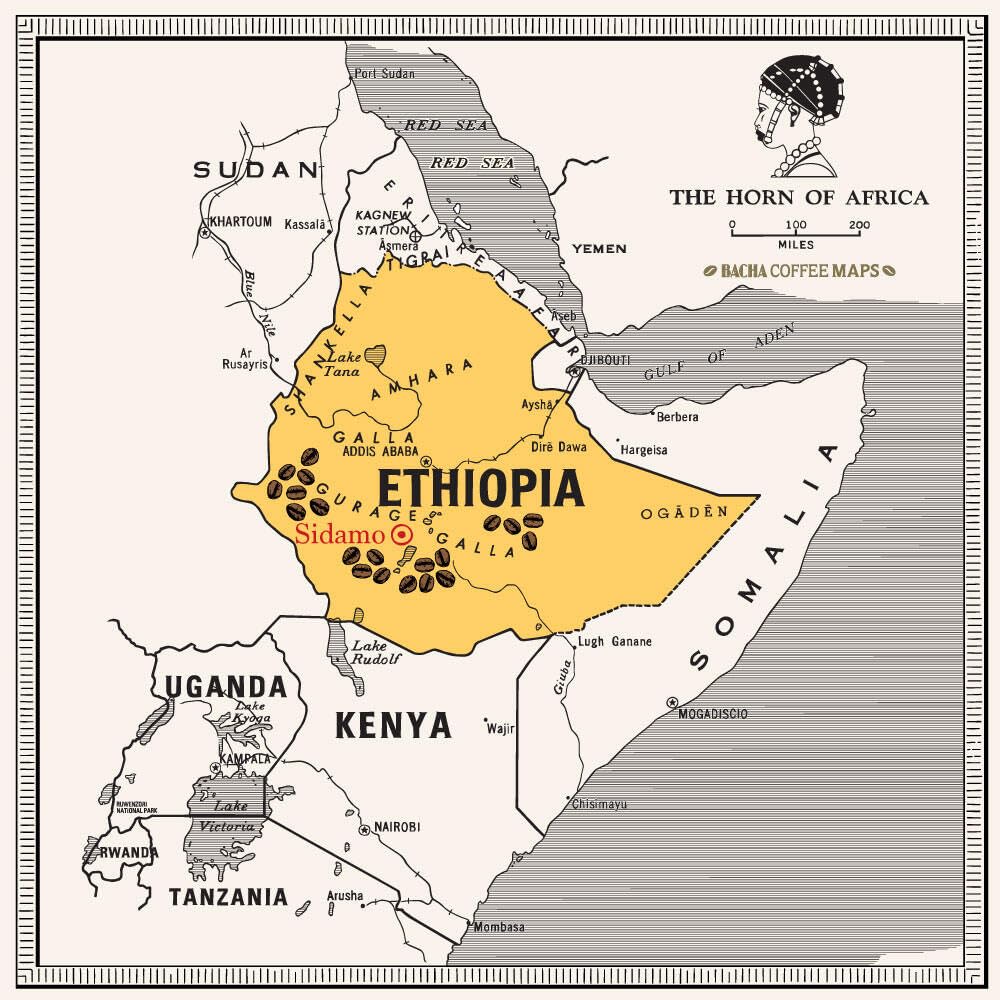 Bacha Coffee | Yirgacheffe Decaf Ethiopia Single Origin, Medium Dark Roast, 100% Arabica Specialty Coffee, 12 Coffee Drip Bags, Gift Box