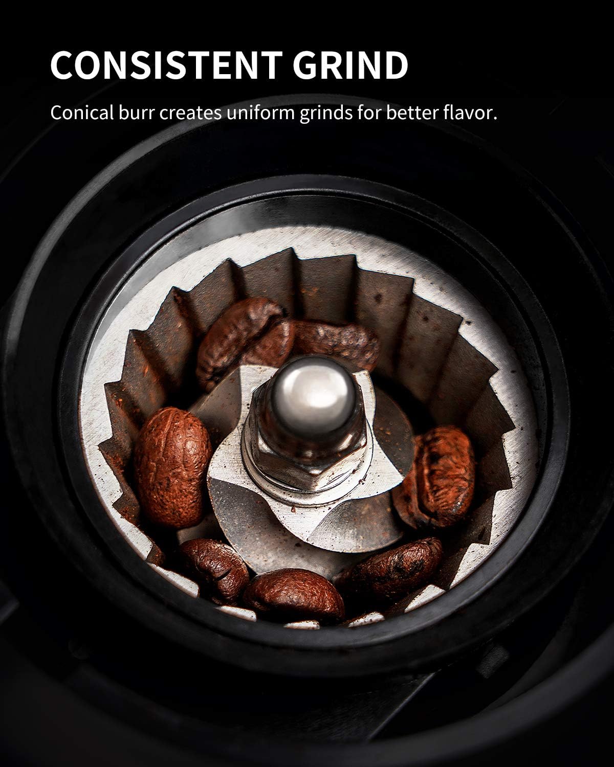 Conical Burr Coffee Grinder, Electric Bean Grinder for Precise Grinding, 35 Settings, 2–12 Cup Selector, Anti-Static Design, Black