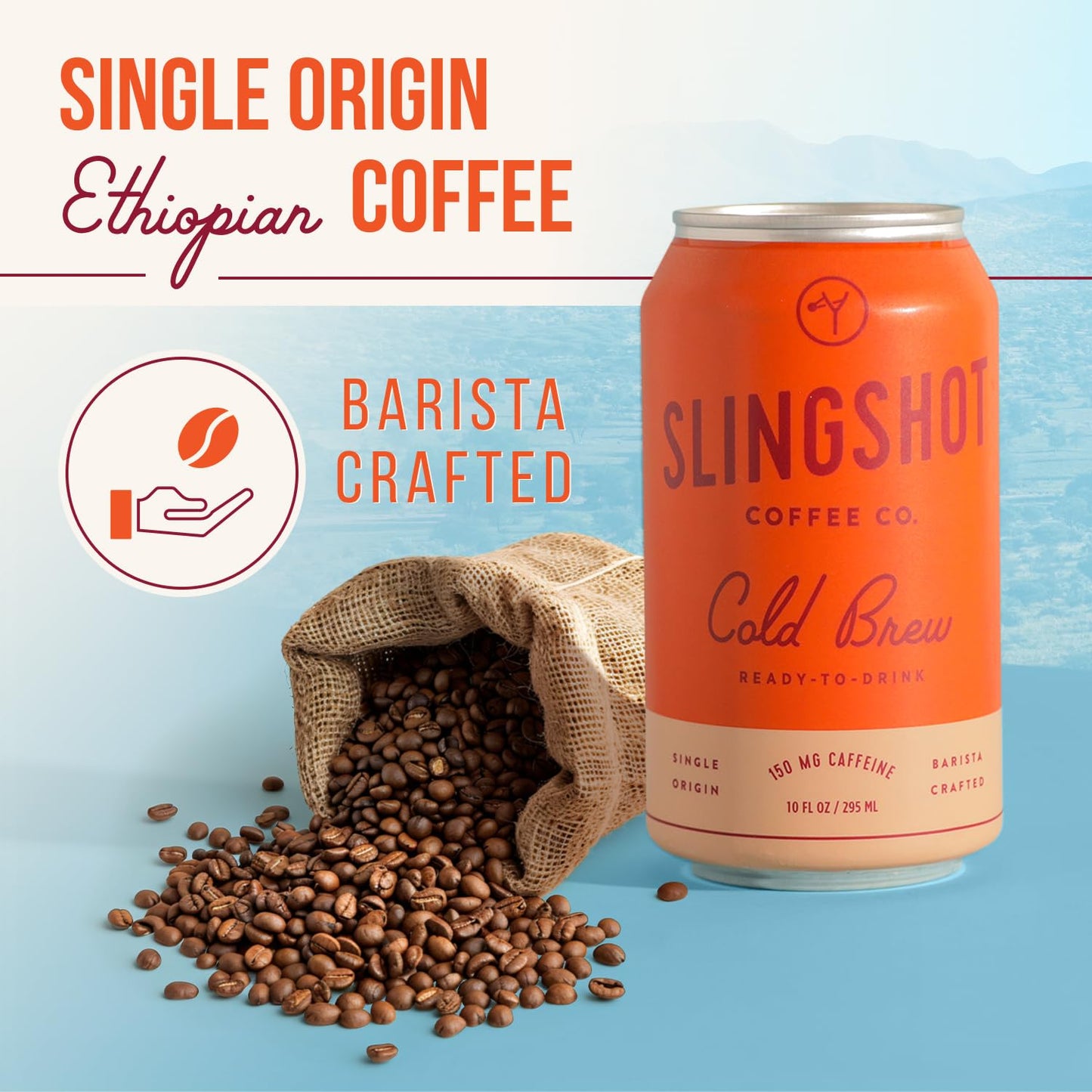 Organic Cold Brew Coffee, 12-Pack – Single Origin Ethiopian, Ready-to-Drink Cans (10 oz Each), Smooth & Fruity Flavor with Citrus, Cacao, and Stone Fruit Notes, 12 Pack