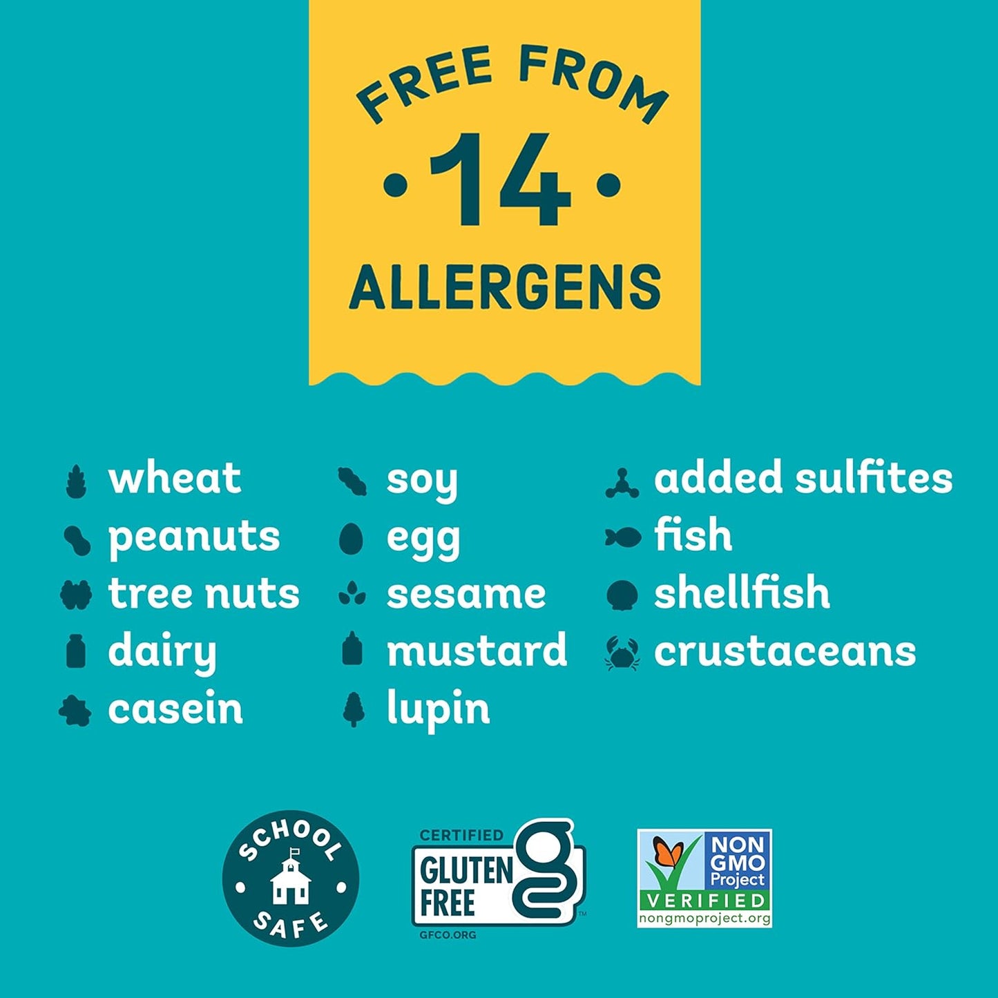 Enjoy Life Bulk Dark Chocolate Morsels, Vegan, Dairy Free, Gluten Free, Nut Free, Kosher, Soy Free, Allergy Friendly, 5 lb