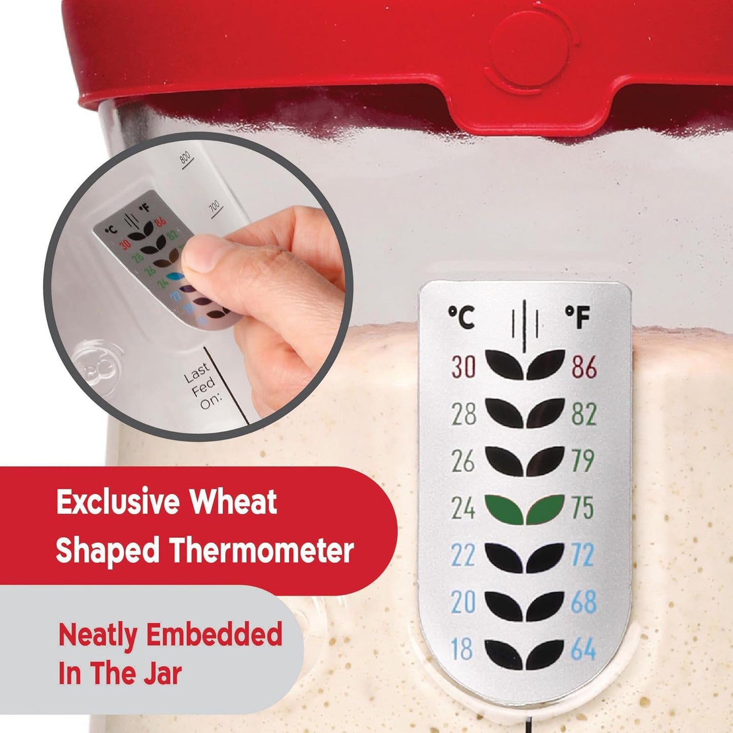 The Ultimate Pro Sourdough Starter and Scoring Kit: Elevate Your Baking with KneadAce