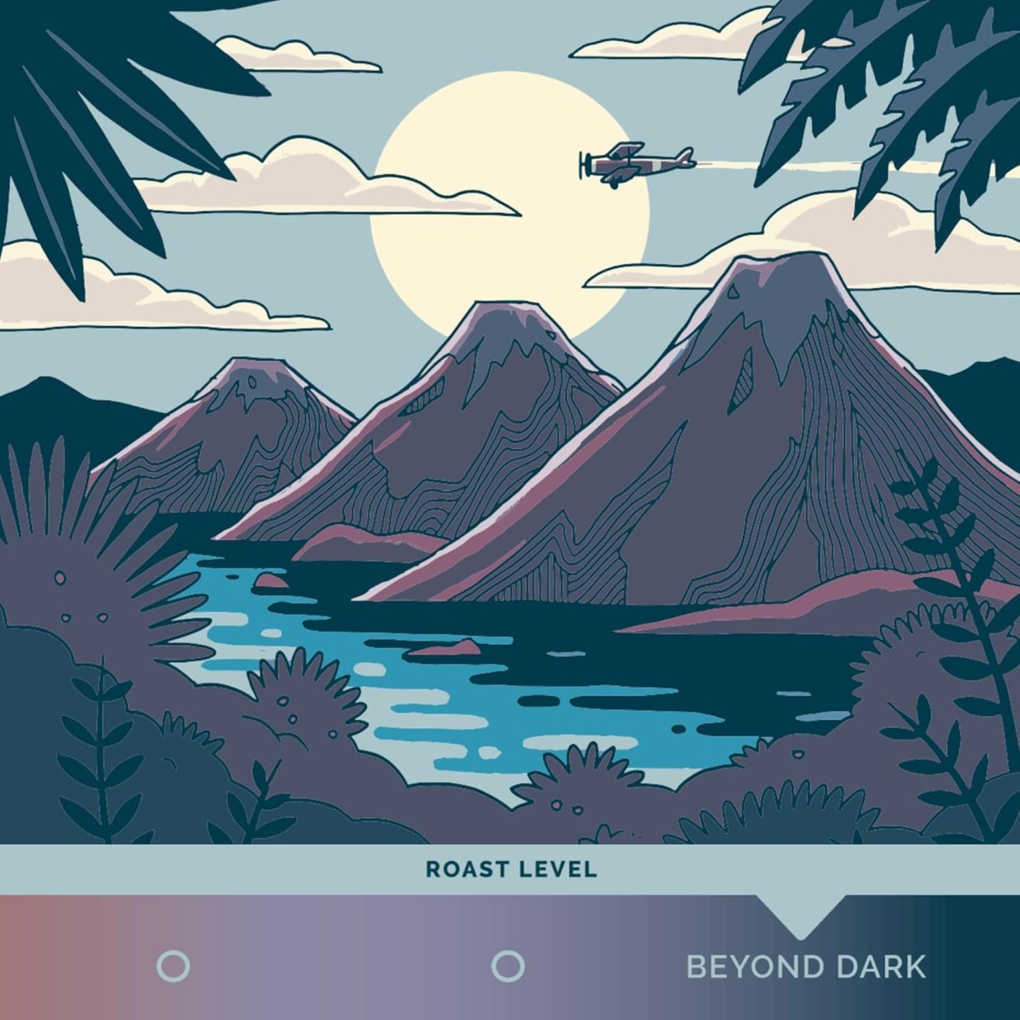 Stone Creek Coffee Dark Roast Ground Coffee – 12 Ounce (Pack of 1) – Smooth and Chocolatey Fresh Roasted Coffee Beans with Rich and Fruity Tasting Notes, 3 Volcanoes Dark Guatemala