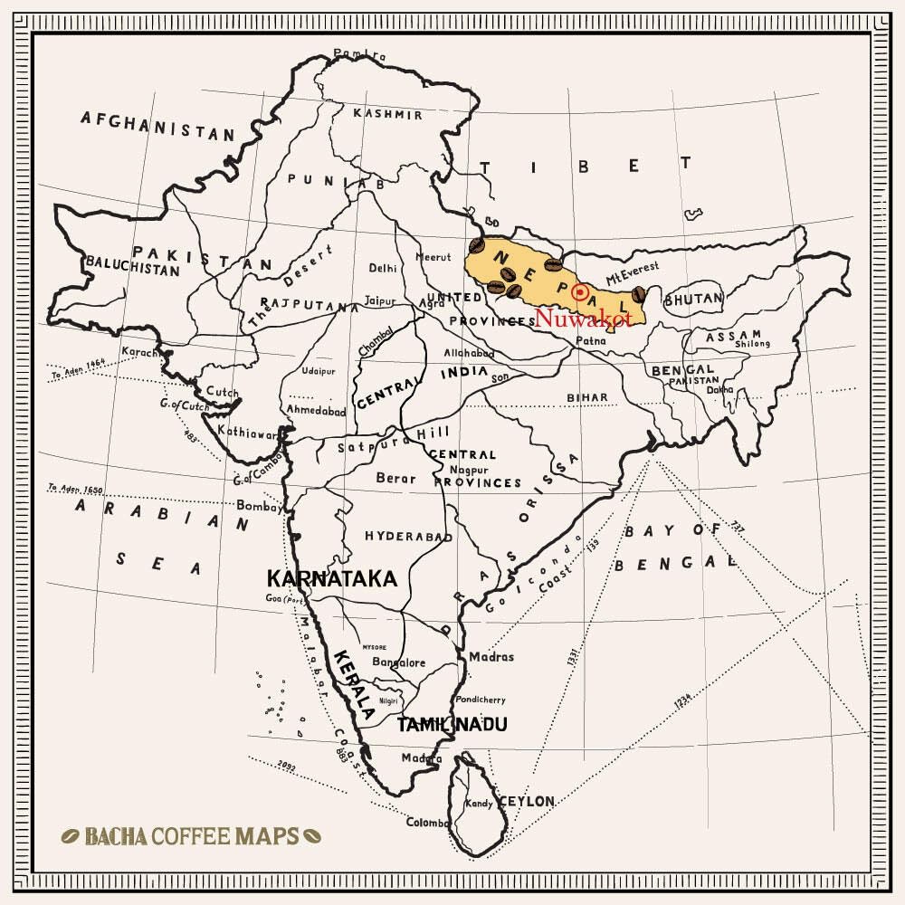 Bacha Coffee | Mount Everest Nepal Single Origin Arabica, 100% Arabica Specialty Coffee, 12 Coffee Drip Bags, Gift Box