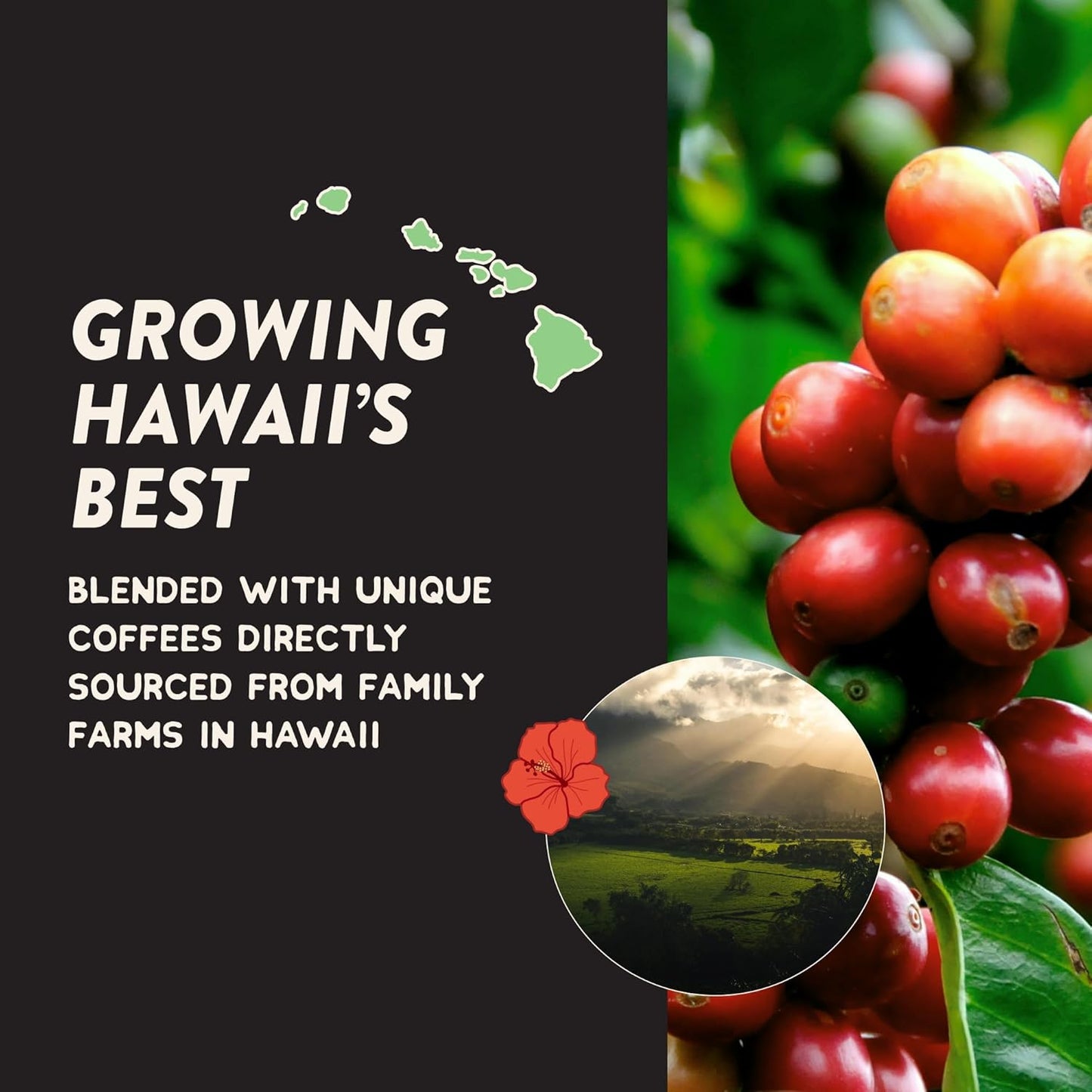 Angelino's Coffee Hawaiian Coffee Ground - Medium Roast Hawaiian Blend with Chocolaty Notes & Floral Undertones, 12oz - Premium Coffee Beans Ground for Freshness