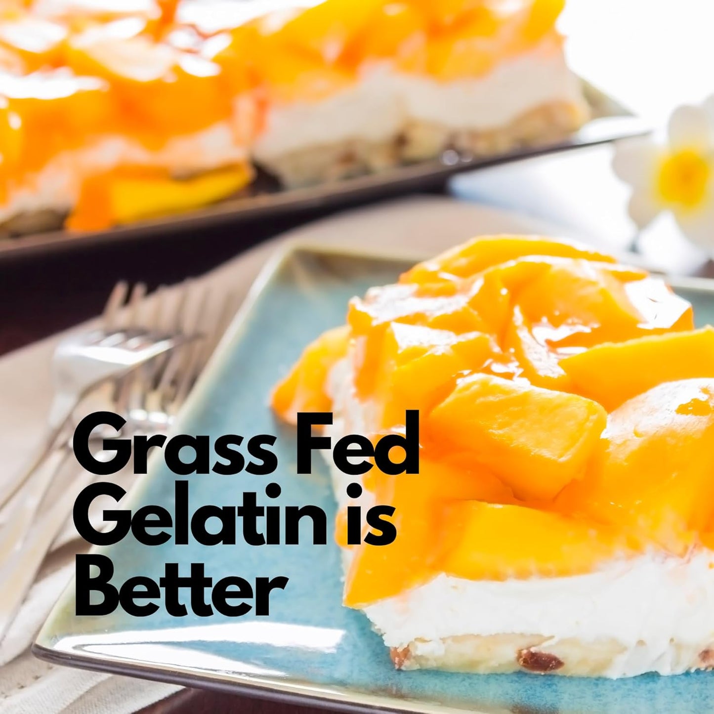 Hearthy Foods Beef Gelatin Powder Unflavored Gelatin Powder for Women and Men | Keto and Paleo Friendly Pure Protein Type 1 & 3, Grass-Fed Halal Certified, Non-GMO, Kosher Gelatin | 16 oz. 454g