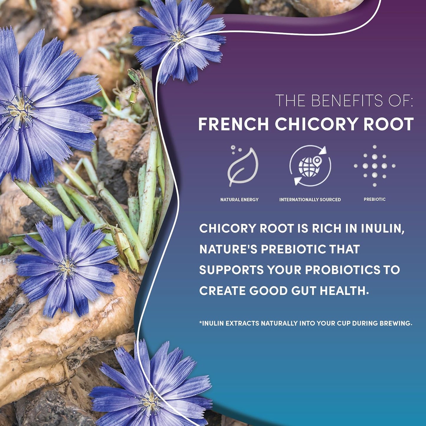 Teeccino Dandelion Dark Roast Herbal Coffee - 10 oz - Caffeine-Free Coffee Alternative with Prebiotics, Gluten Free, Acid Free, Organic