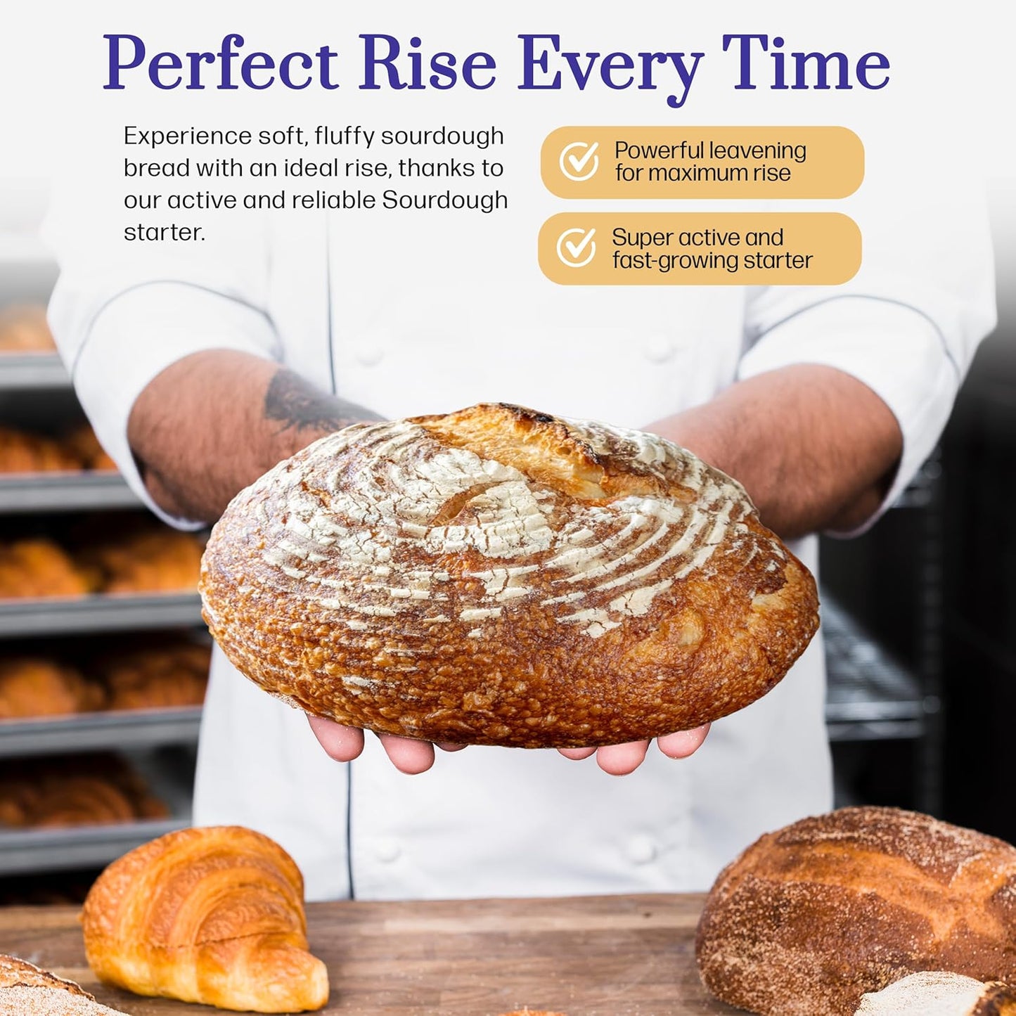 San Francisco Sourdough Starter Culture- 100+ Year Old Dehydrated Heirloom Style Sourdough Starter Kit for Sourdough Bread, Pizza, Buns, Pancakes, Muffins | Easy to follow instructions. By Captain Sourpants