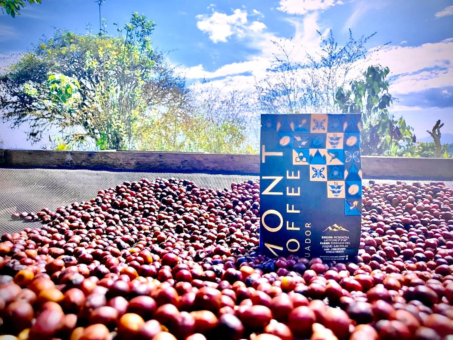 Mont Coffee - Pichincha Region | Latitude 0.0'00" | Specialty Single Origin Ecuadorian Arabica Coffee | Deluxe | Fresh Roast | Sourced Directly from Our Farms