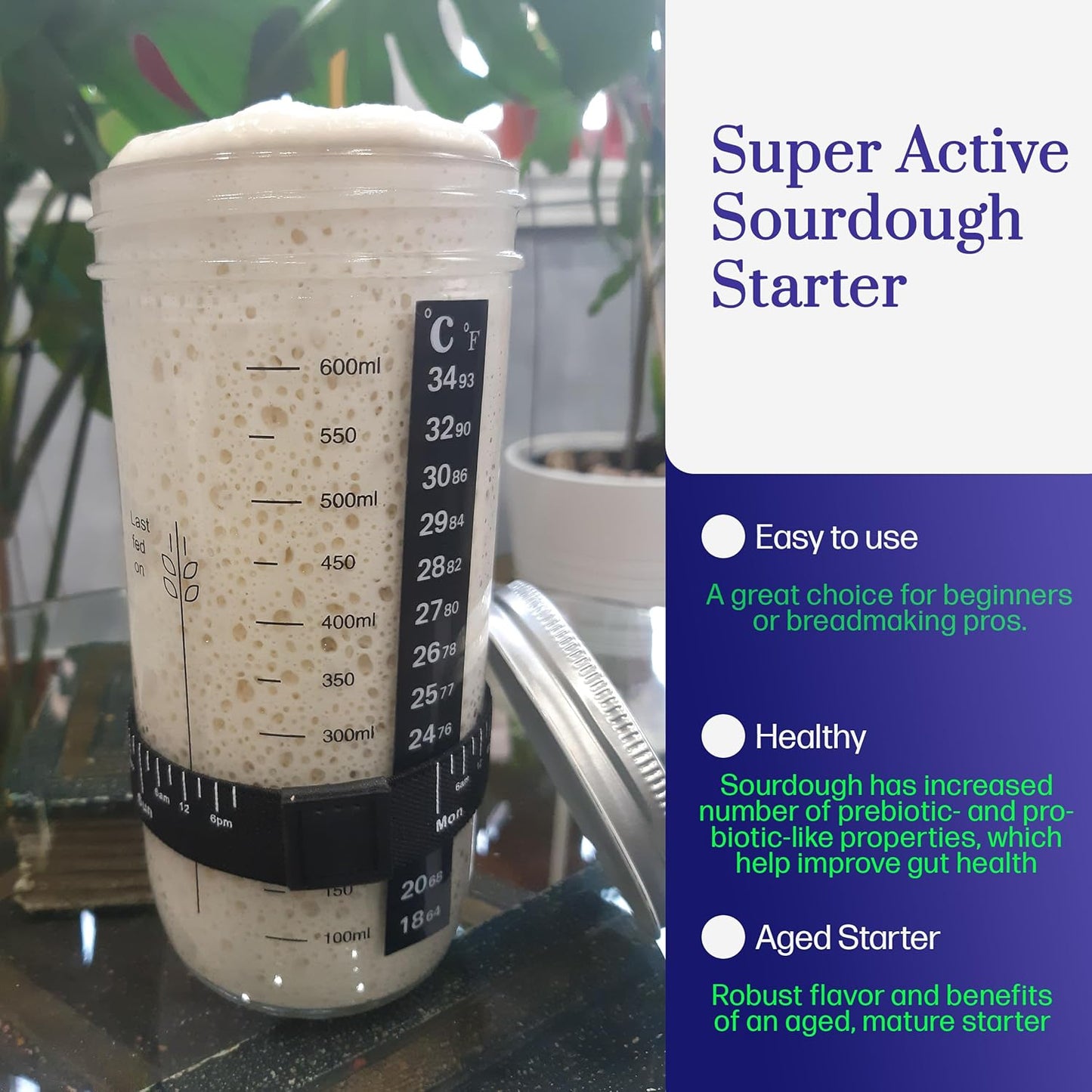 Mature Sourdough Starter Culture – 100+ Years Old Dehydrated Sourdough Starter Kit for Delicious Homemade Sourdough Bread – All-Natural and Organic - Beginner Friendly, Fast reactivation and Expert Support