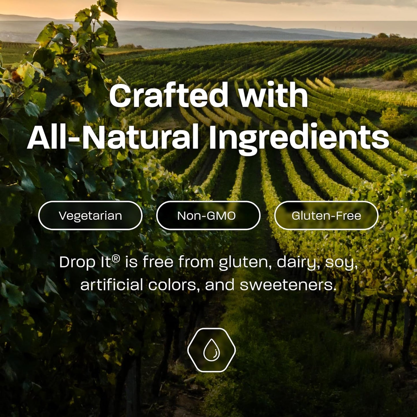 Drop It Wine Drops, Original - 10 mL, 6 Pack - Naturally Reduces Sulfites & Tannins in Red, White & Sparkling Wines - Portable, Easy to Use - Treats Up to 55 Glasses/9 Bottles of Wine Each - USA Made