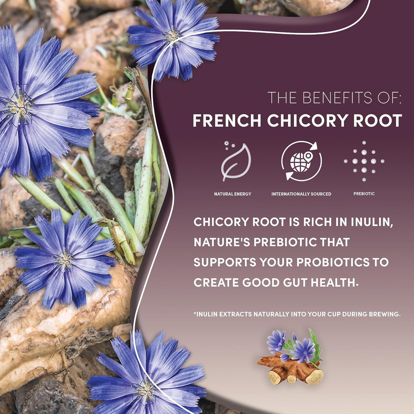 Teeccino Caramel Nut Chicory Coffee Alternative - Ground Herbal Coffee That’s Prebiotic, Caffeine Free & Acid Free, Medium Roast, 11 Ounce