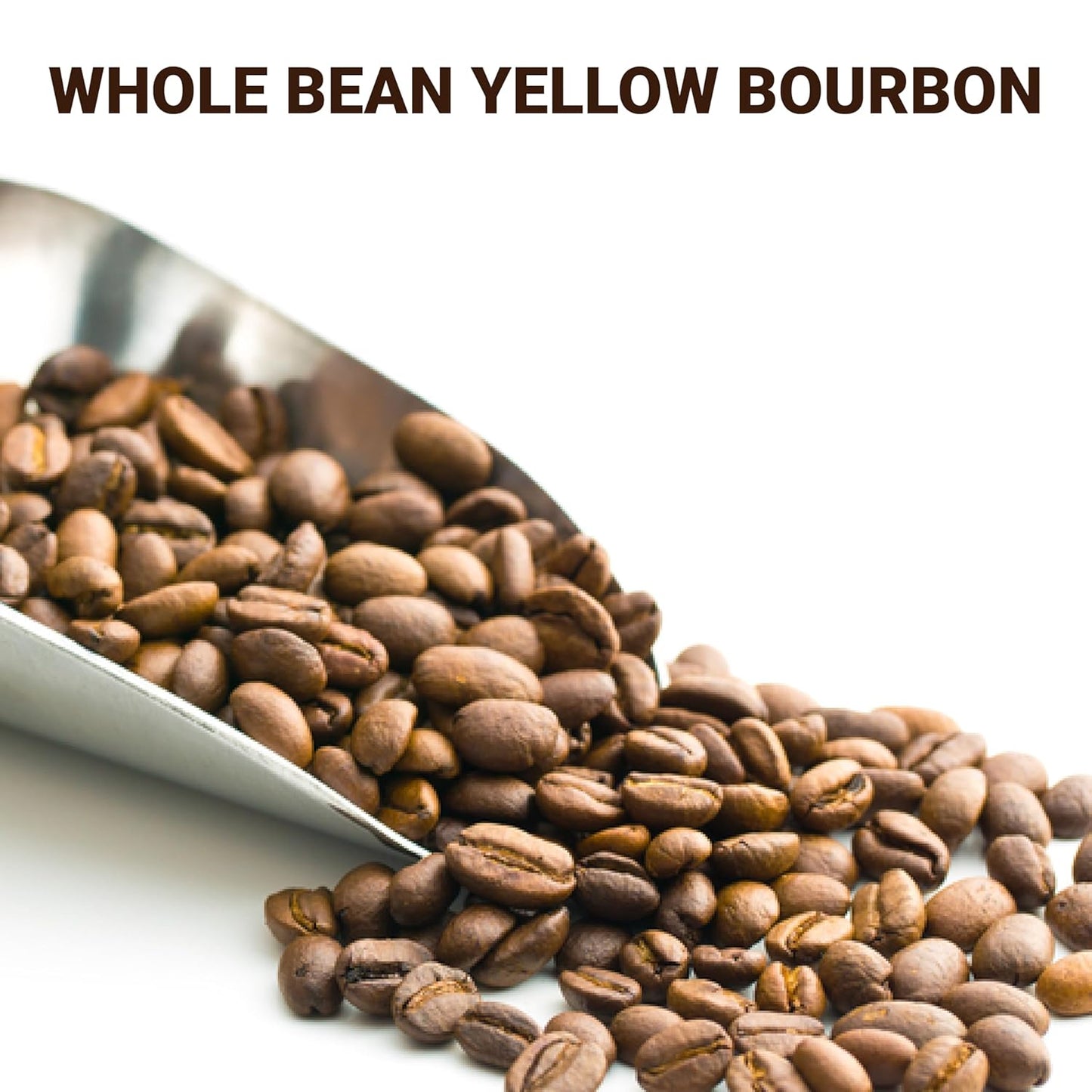 doanhdang - 17.6 Oz Premium Yellow Bourbon Whole Bean Coffee, 100% Medium Roast, Rich Flavor for Espresso Shot and Brew, Origin from Vietnam, Whole Med Roast Beans
