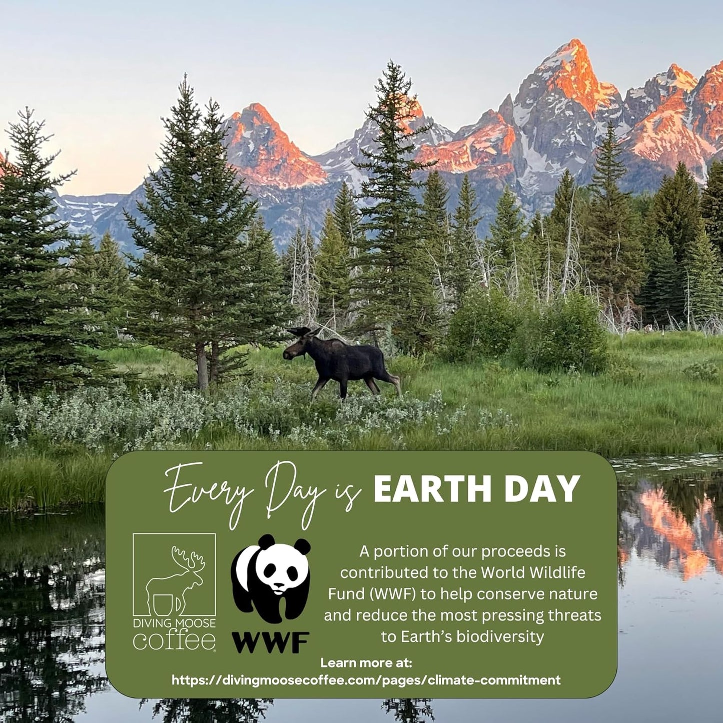 Diving Moose Coffee - The Rhinoceros Sumatra Gayo USDA Organic Medium Dark Roast (16oz / 1 LB) - Bakers Chocolate Raspberry Specialty Grade 100% Arabica Small-Batch Roasted to Order Smooth Not Bitter