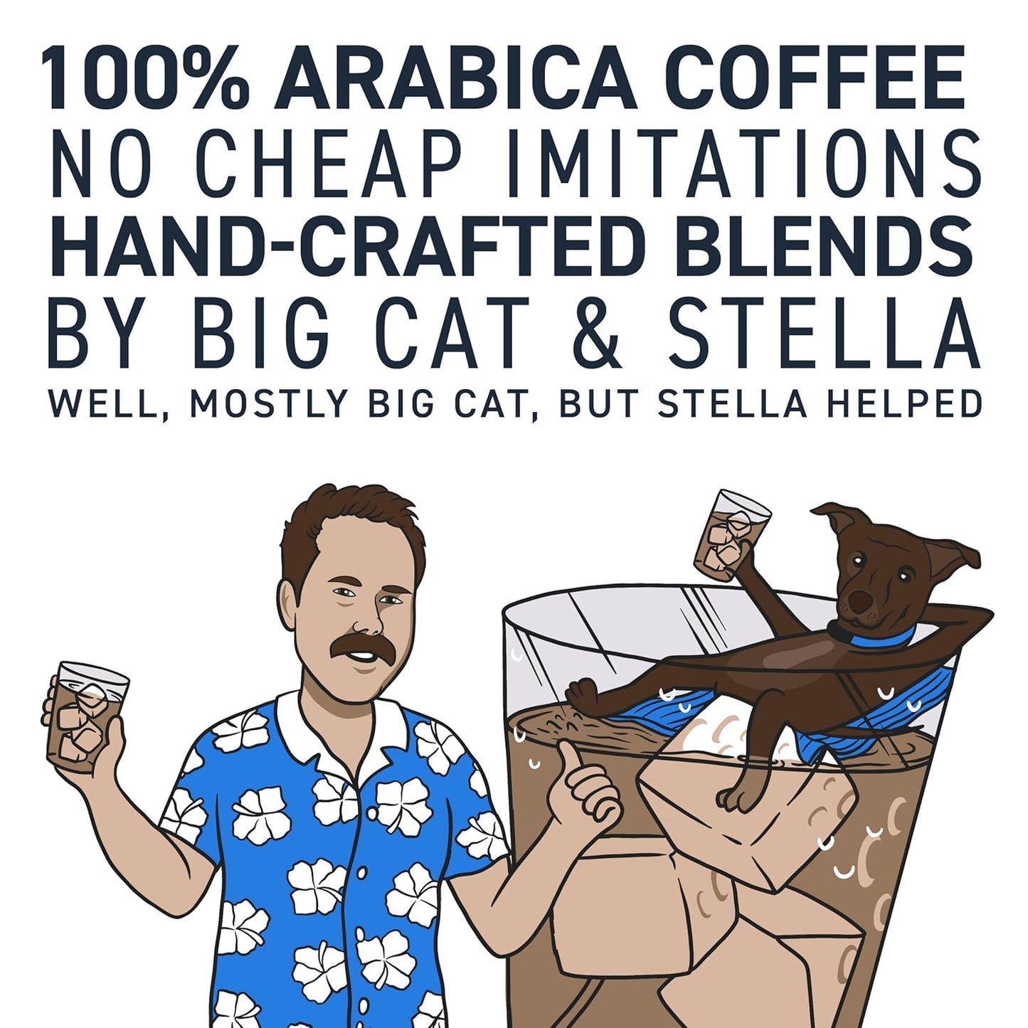Stella Blue Cold Brew Coffee Bags, Big Cat Blend, Medium Roast Ground Coffee, Smooth, Bold and Refreshing 100% Arabica, 6 Brew Packets, Makes 24 Cups, Rainforest Alliance Certified
