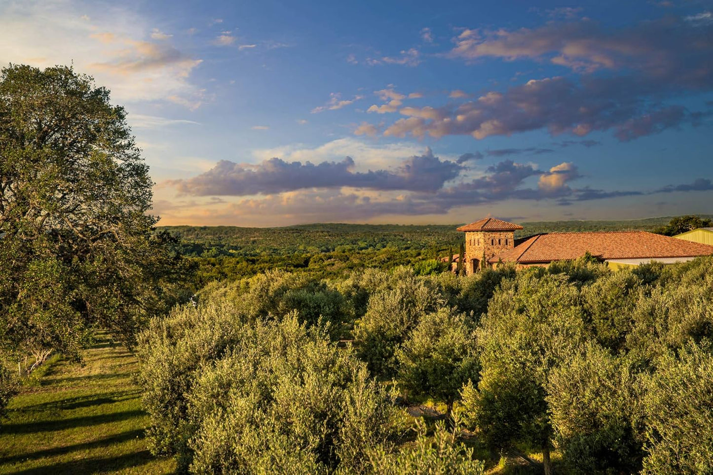 White Lemon Balsamic Vinegar - Gourmet Barrel Aged Infused Balsamic Vinegar - Great for Dressing Dipping Glazing - No Artificial Flavors or Added Sugar - Made in Texas (8.5 oz, 2 Pack)