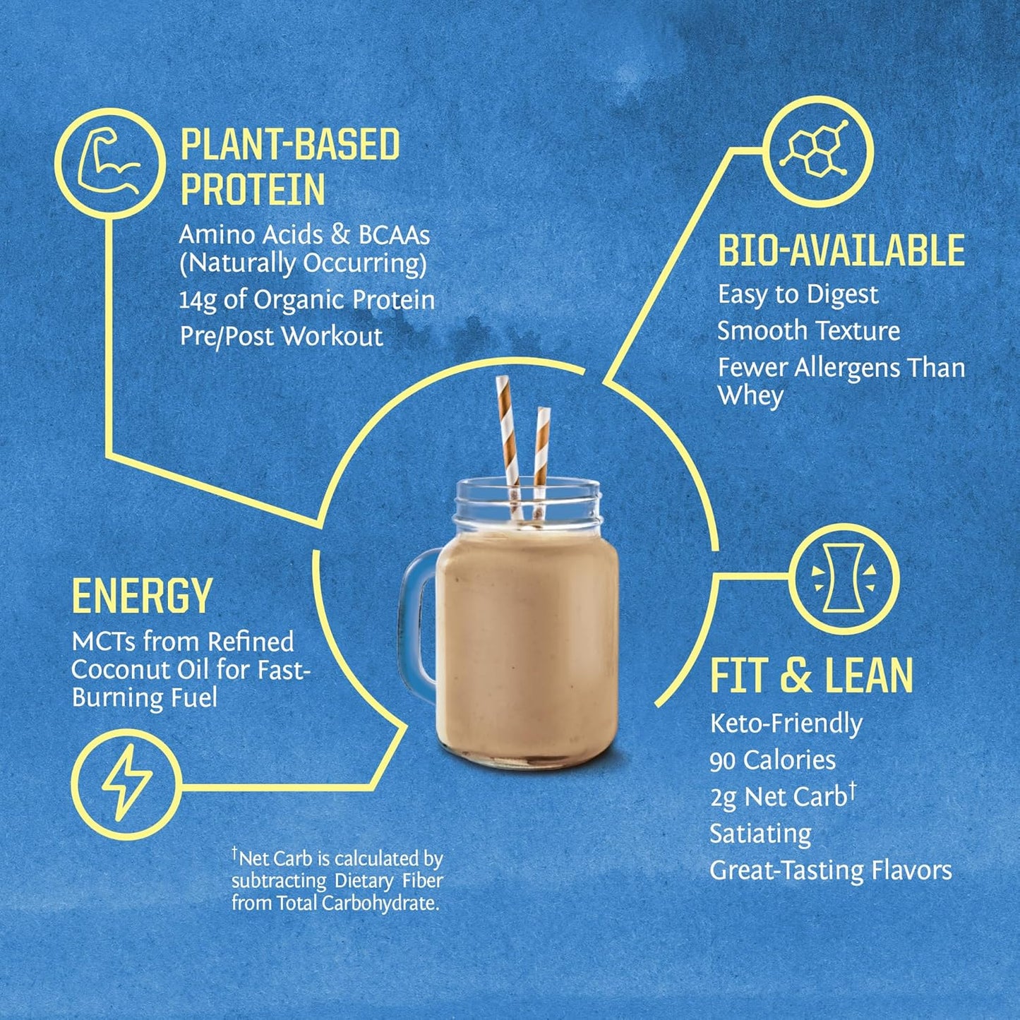 Organic Plant Based Protein Powder | Vegan Organic Protein Powder with BCAA Amino Acids & Hemp Seed Pea Blend | Non-GMO Soy Dairy Filler & Gluten Free (Chocolate Peanut Butter, 30 Servings)